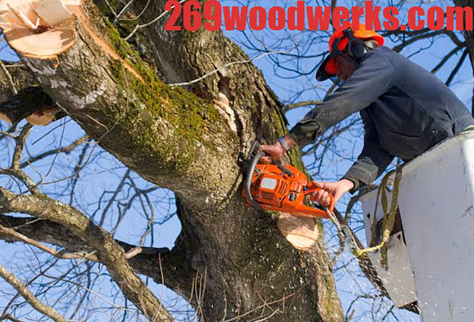 Removal Gloucester